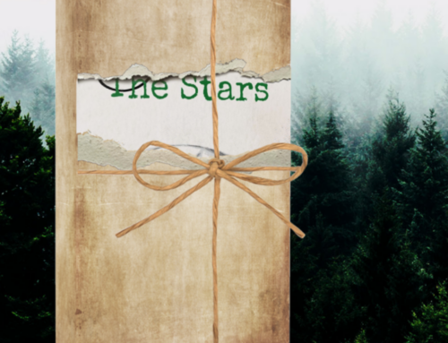 Behind the Stars: A Gripping New Novel Exploring the Dark Side of Obsession and Revenge